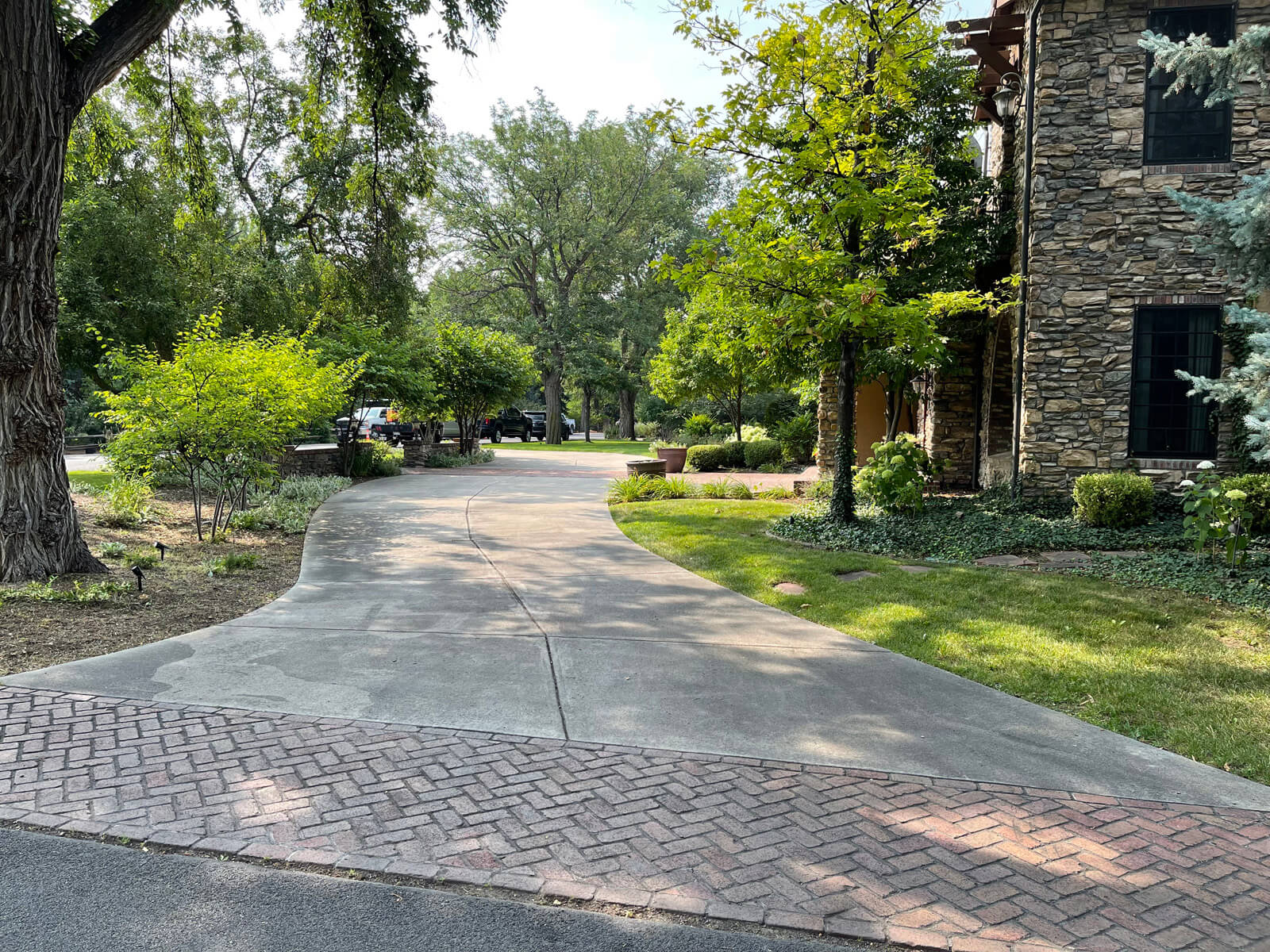 Driveway Cleaning